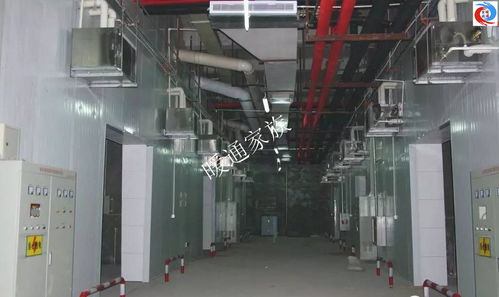 开开眼界 食用菌工厂化培育环境系统工程现场实拍